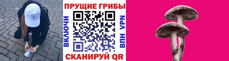 Псилоцибиновые грибы мицелий  ОМГ ОМГ ссылка  Гремячинск 